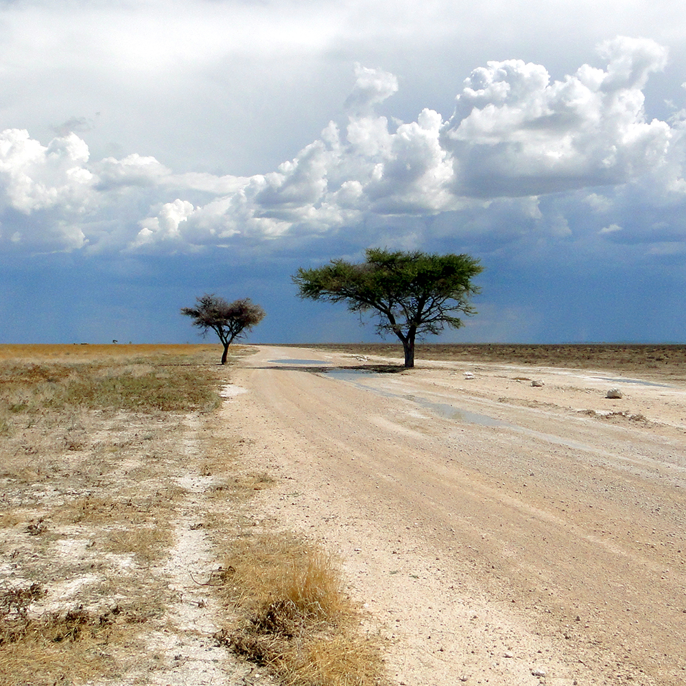 Etosha