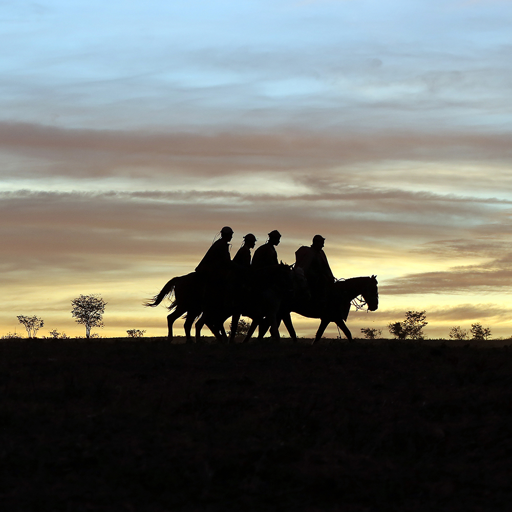 Vaqueiros do Sertão Brasileiro
